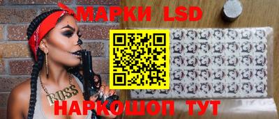 apvp Славгород